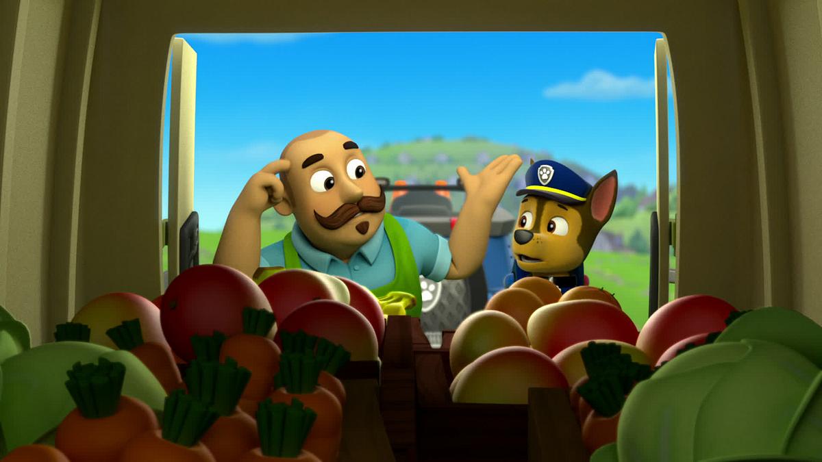 paw patrol - helfer auf vier pfoten