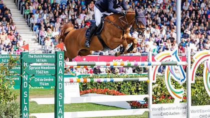 sport im westen live - Foto: Media Press
