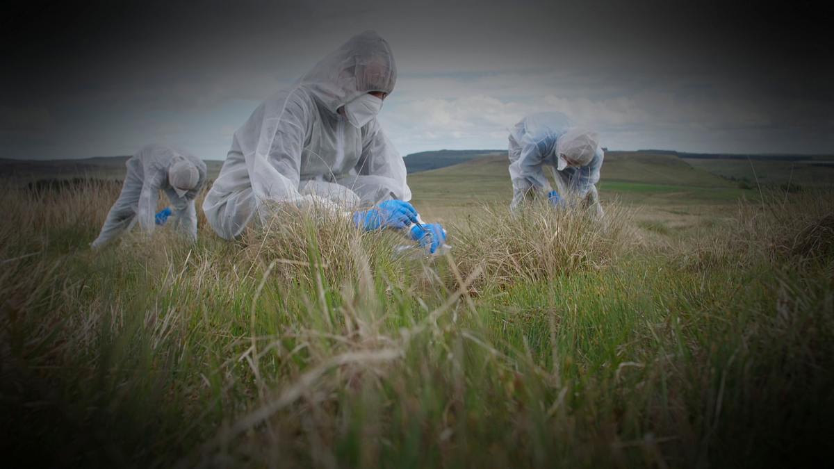 expert witness - forensiker auf spurensuche