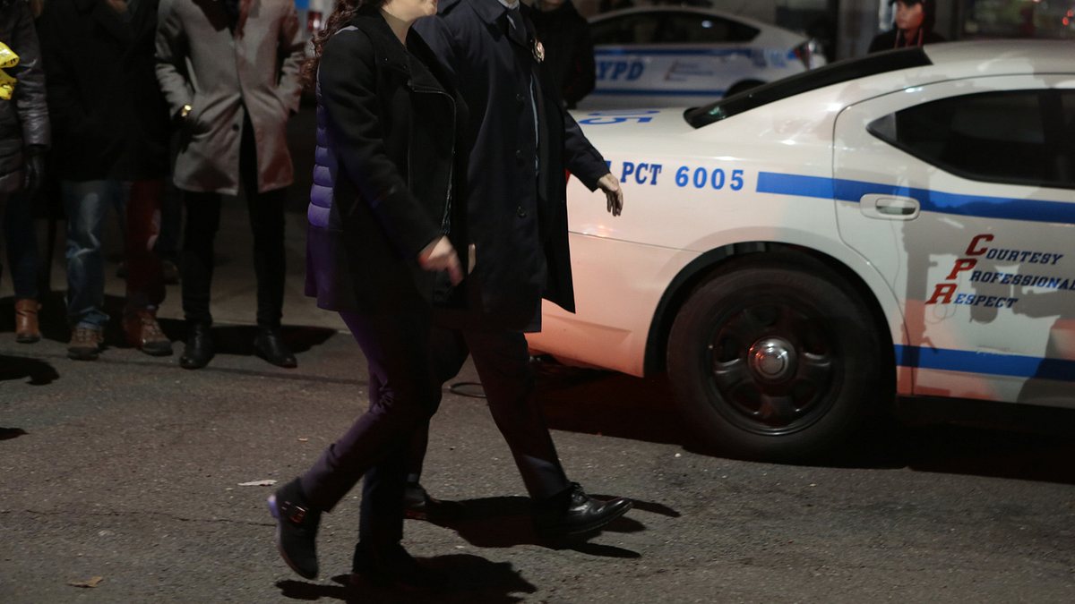 blue bloods - crime scene new york