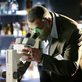 CSI: Den Tätern auf der Spur Thumbnail