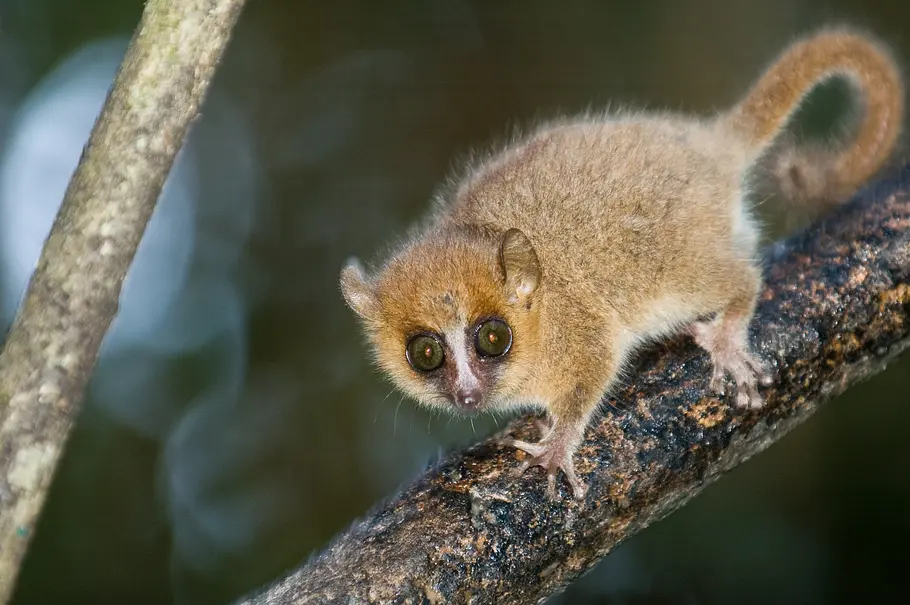 Unbekanntes Madagaskar unbekanntes madagaskar
