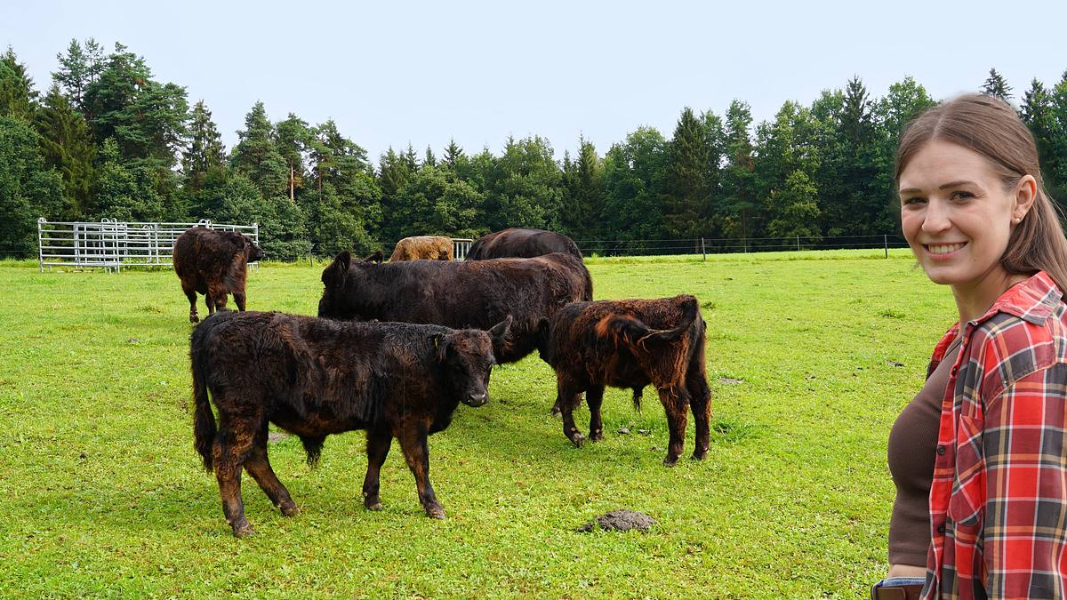lust aufs land - bayerische hofgeschichten