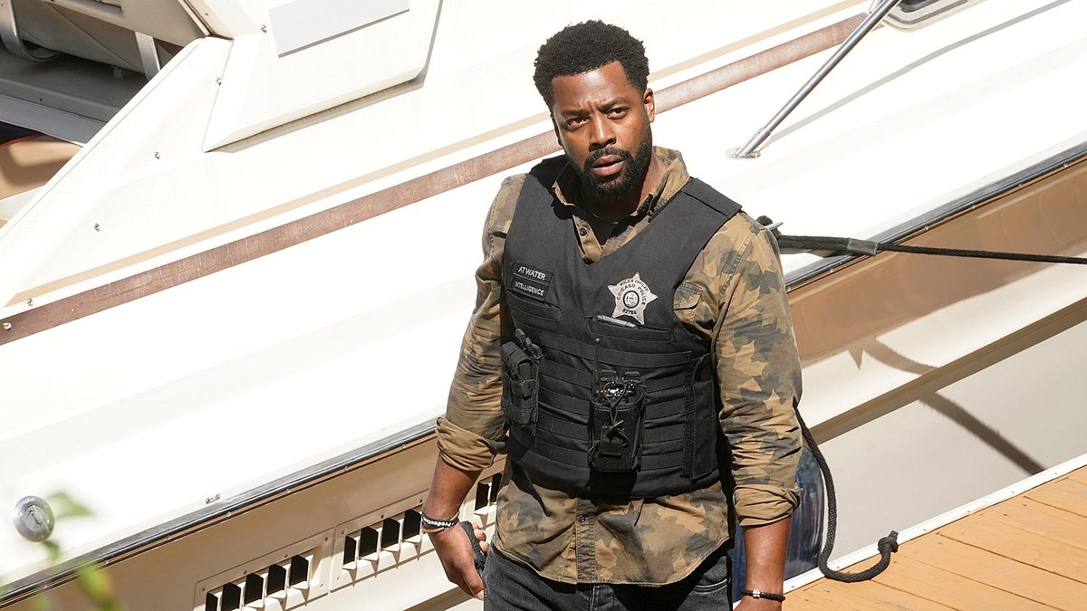 Chicago P.D. chicago p.d.