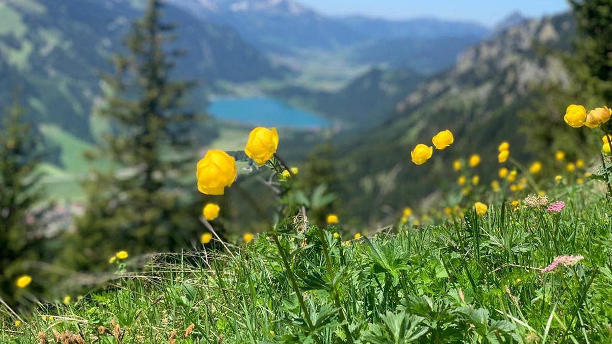 das tannheimer tal - juwel der berge