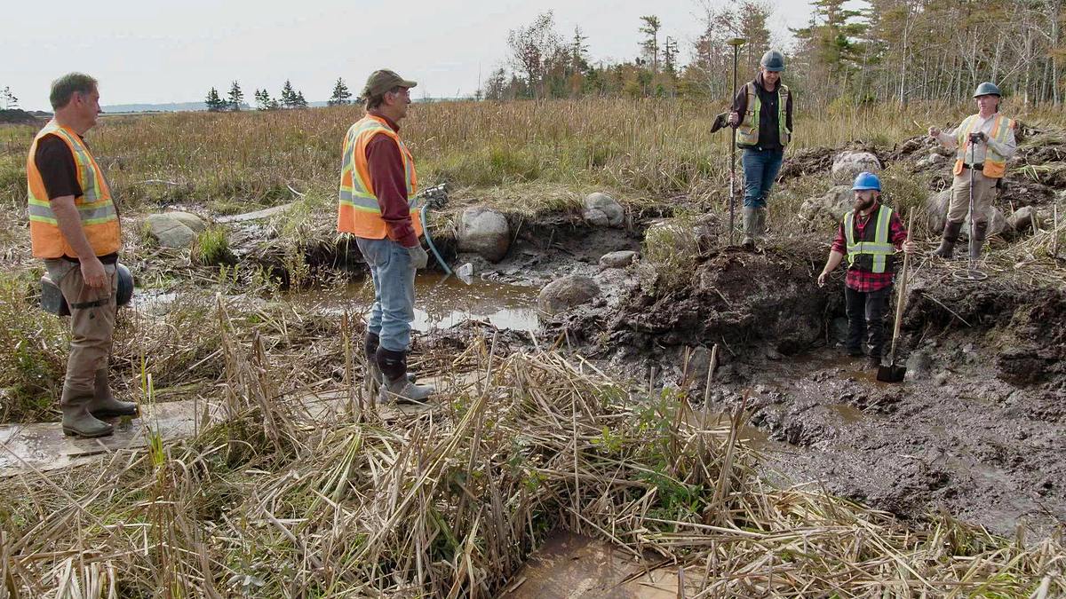 oak island - fluch und legende