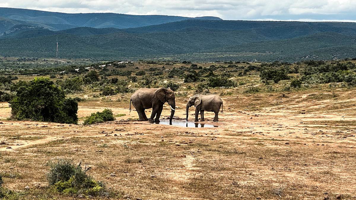 roadtrip durch südafrika