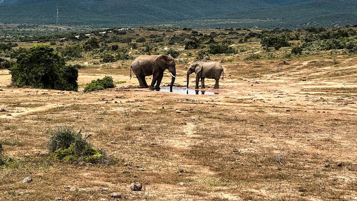 roadtrip durch südafrika