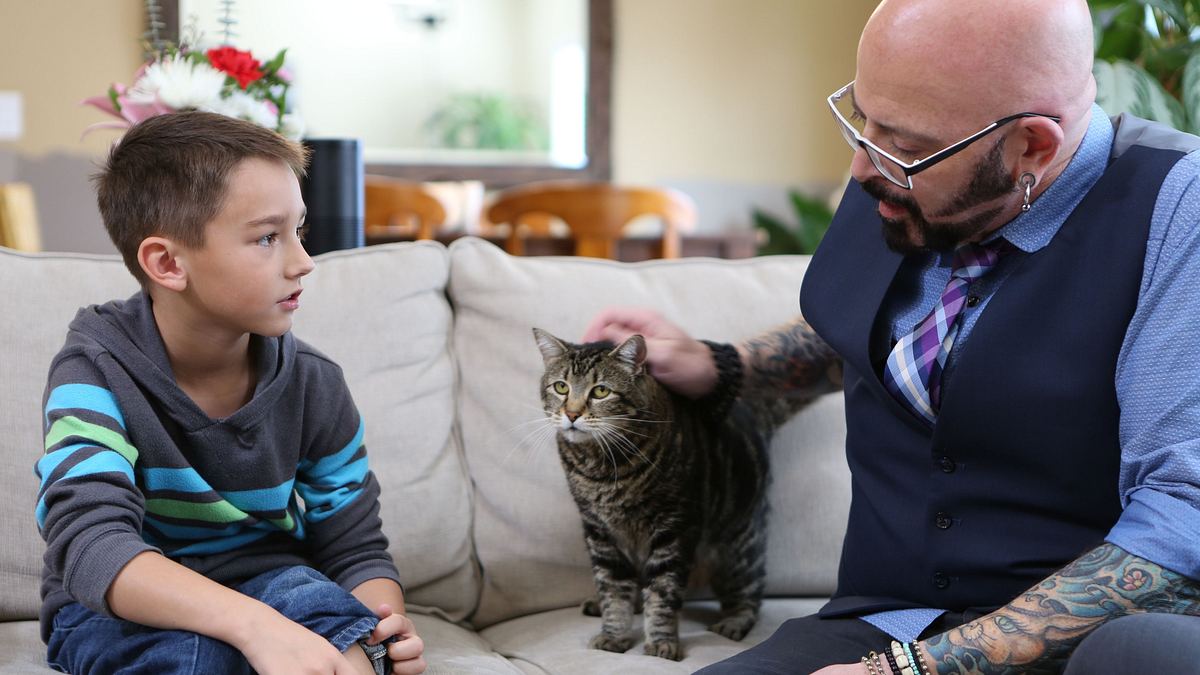 der katzenflüsterer