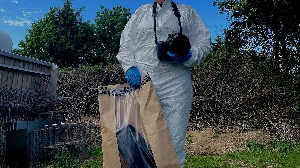 am ort des verbrechens - forensiker auf spurensuche