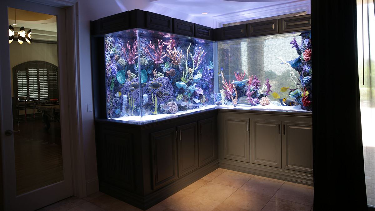die aquarium-profis