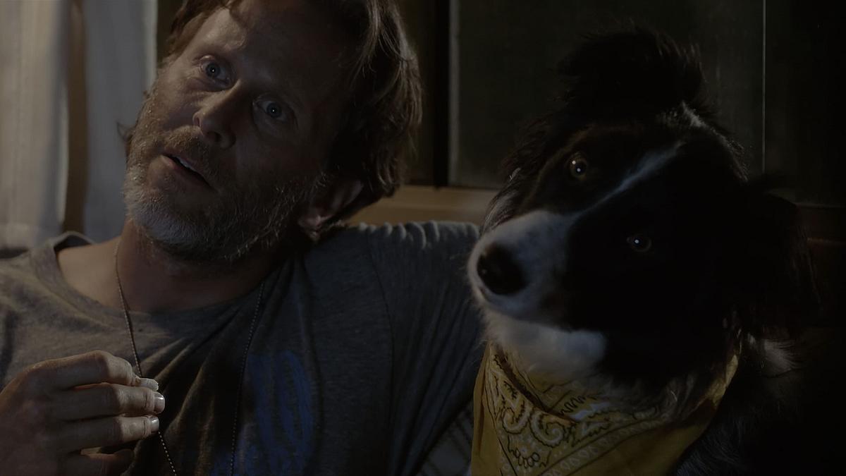Ein Hund namens Duke Ein Hund namens Duke