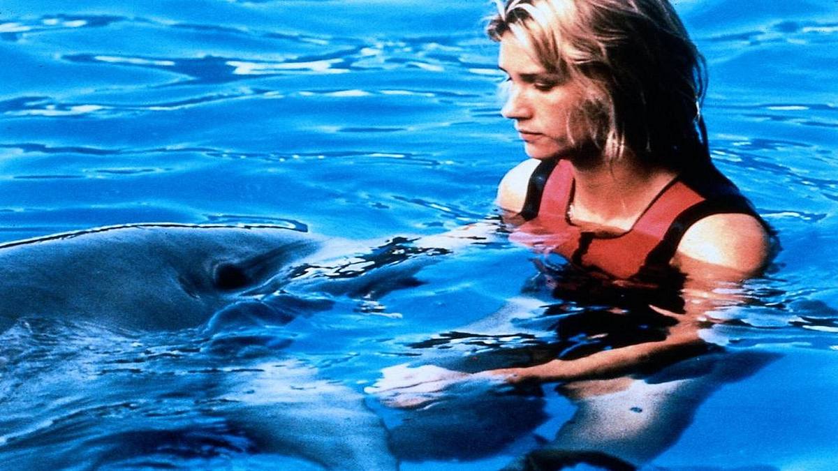 Das Mädchen und der Delfin Das Mädchen und der Delfin