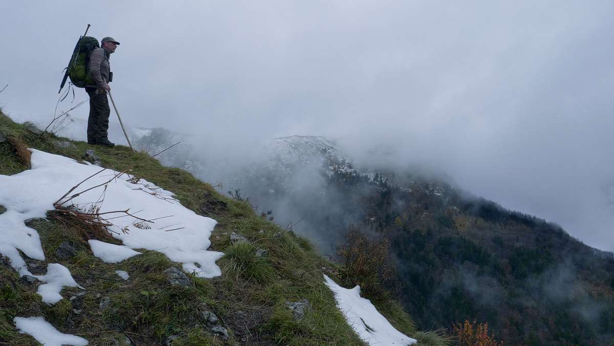 Auf der Spur der Wölfe Auf der Spur der Wölfe