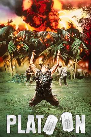 Platoon - Foto: TMDB