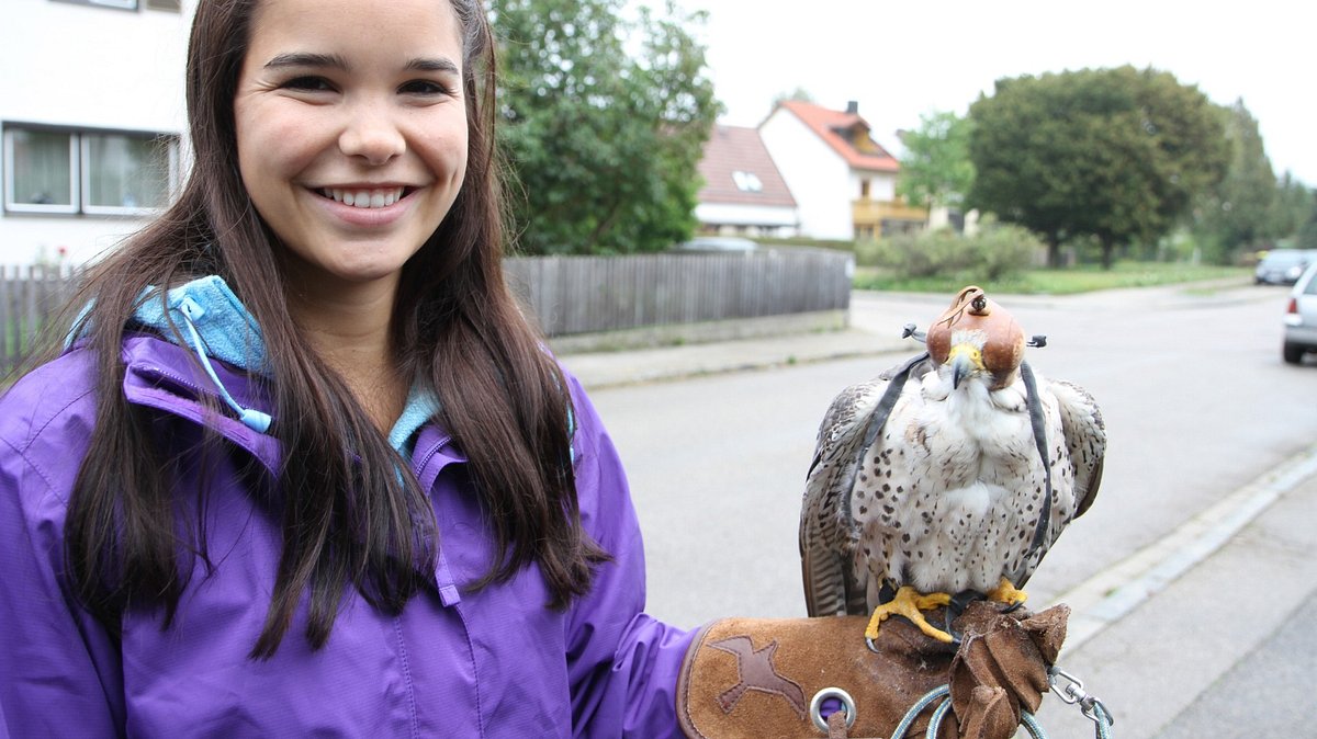 anna und die wilden tiere