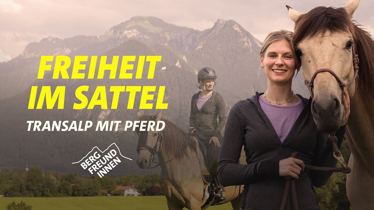 bergfreundinnen