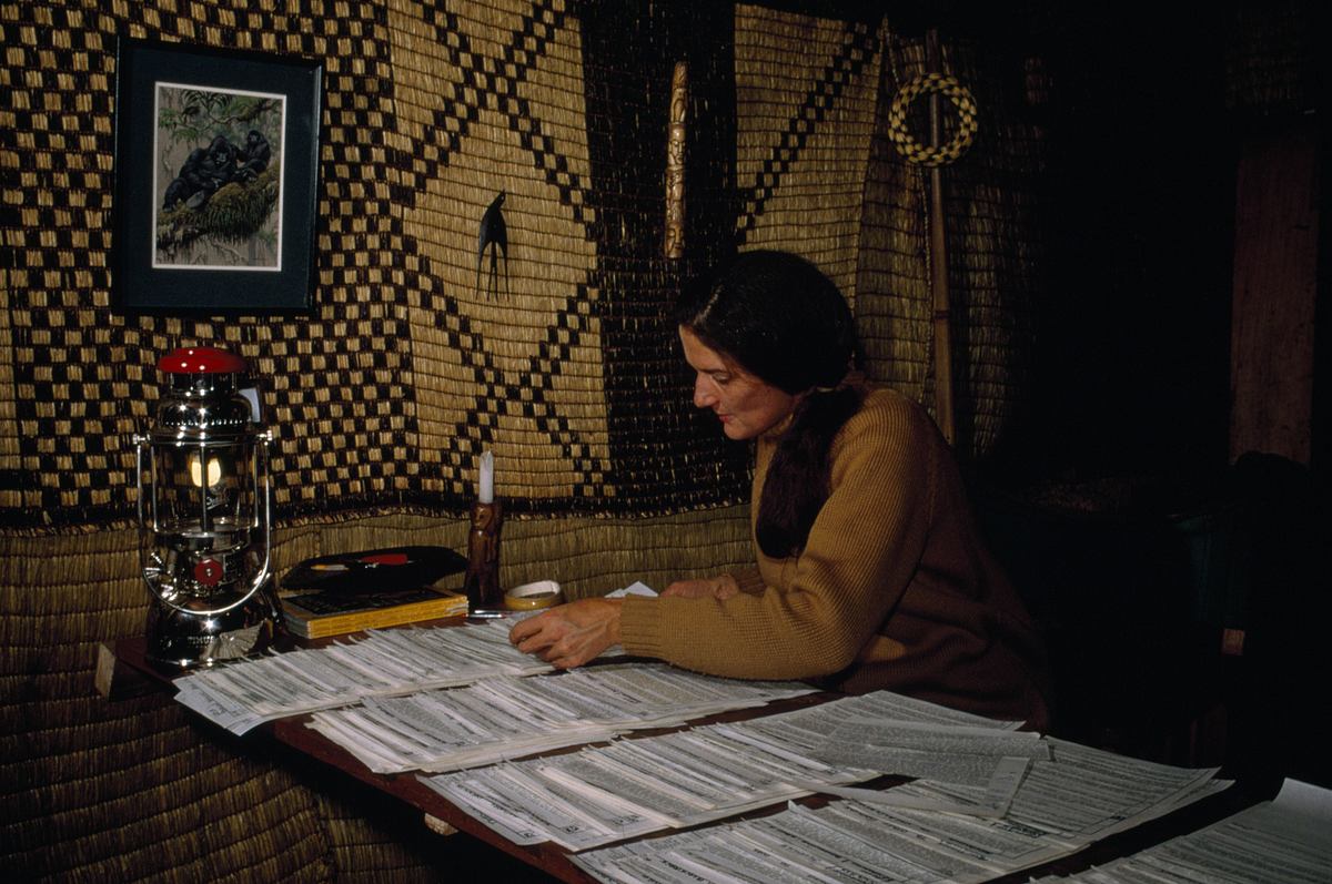 dian fossey: geheimnisse im nebel