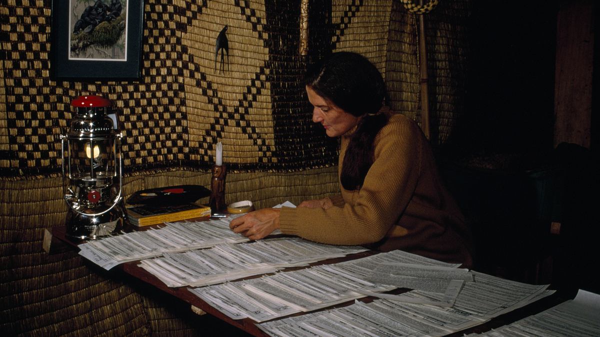 dian fossey: geheimnisse im nebel