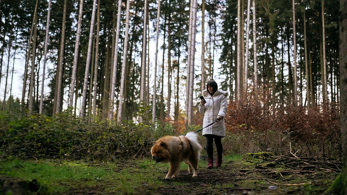 die paartherapie