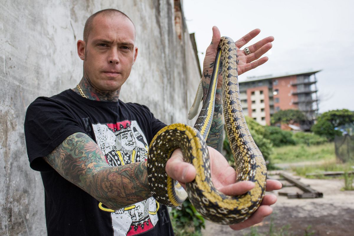 snakes in the city