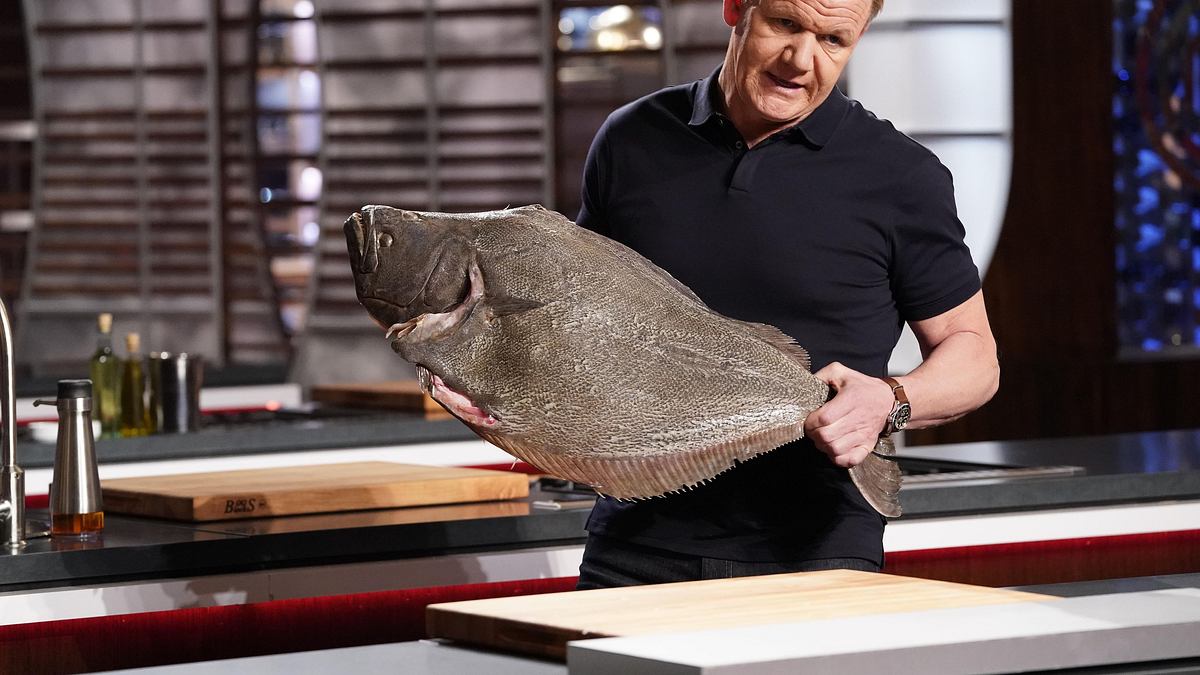masterchef usa