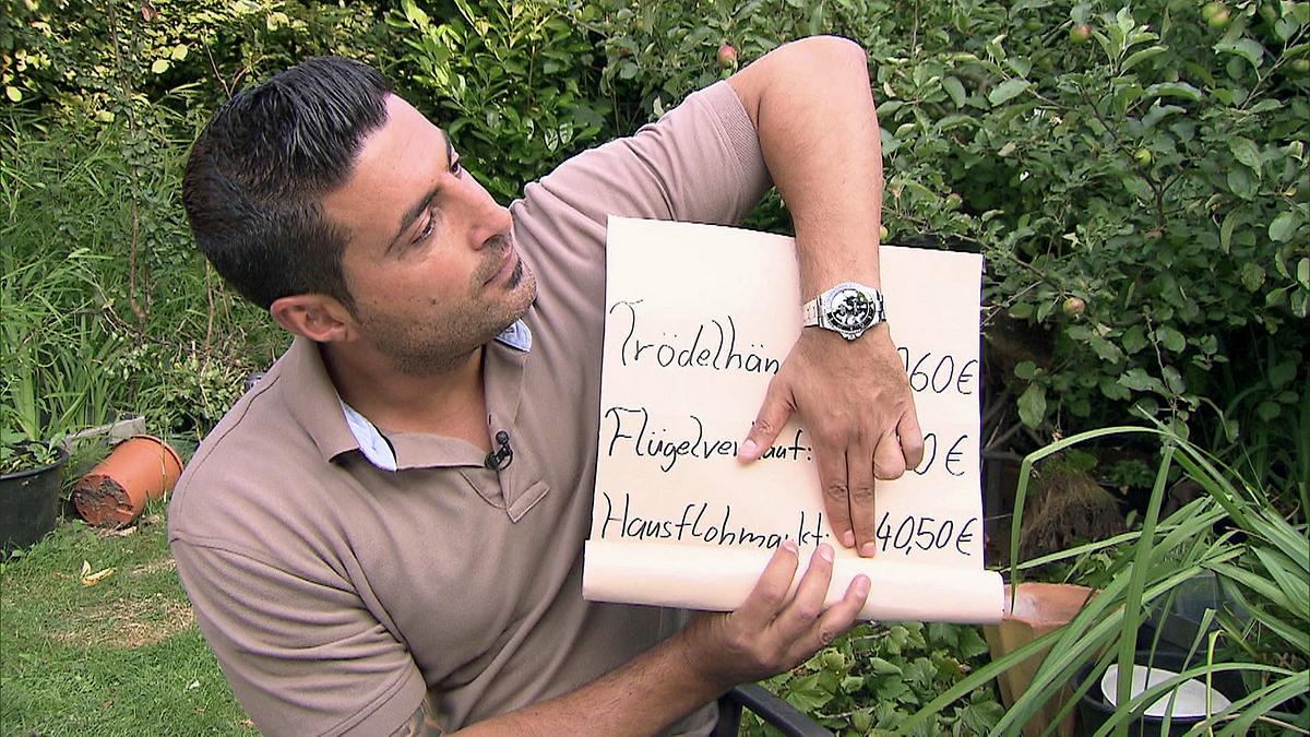 der trödeltrupp - das geld liegt im keller