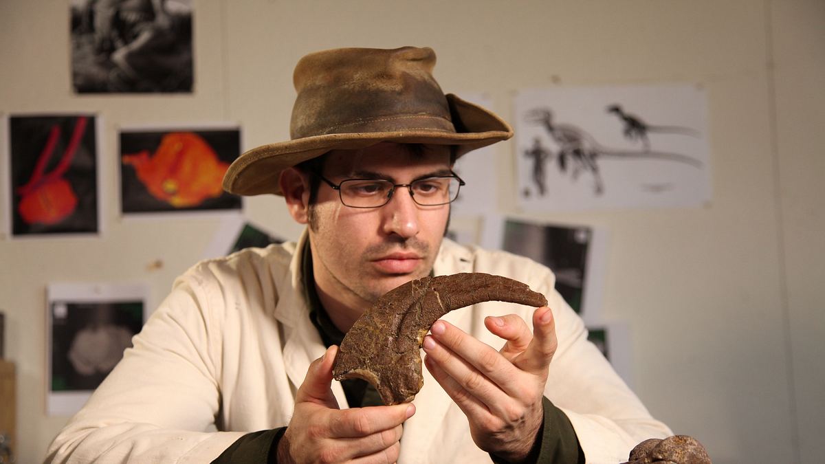 t-rex: ultimate survivor