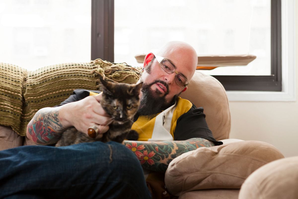 Der Katzenflüsterer der katzenflüsterer