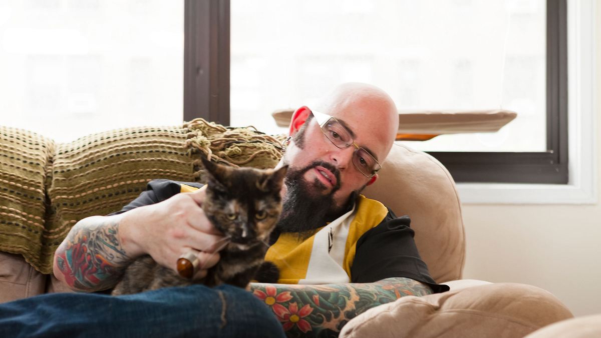 der katzenflüsterer