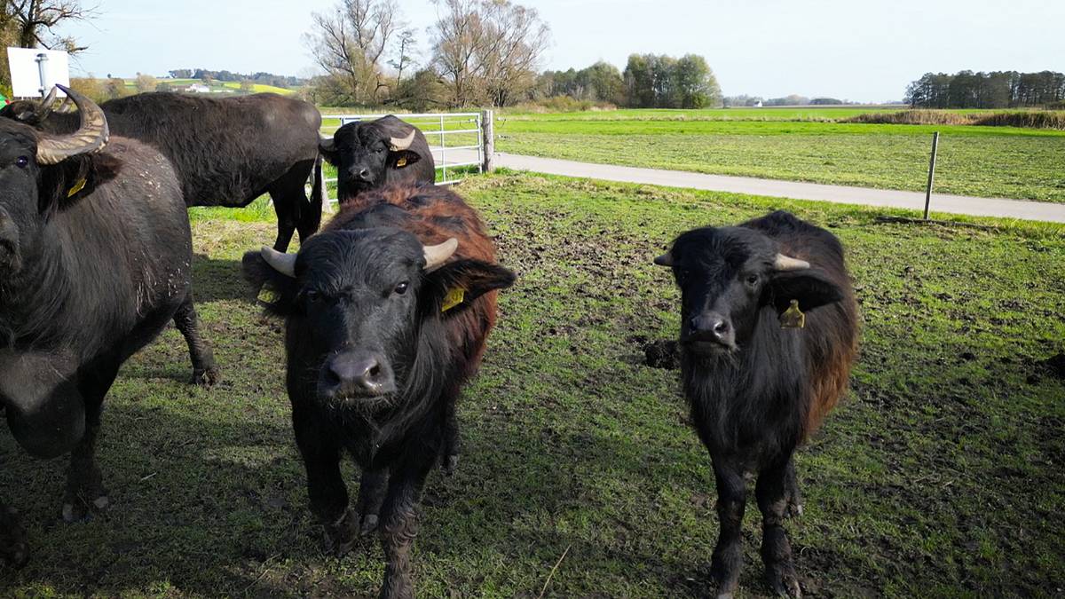 Helden der Landwirtschaft helden der landwirtschaft