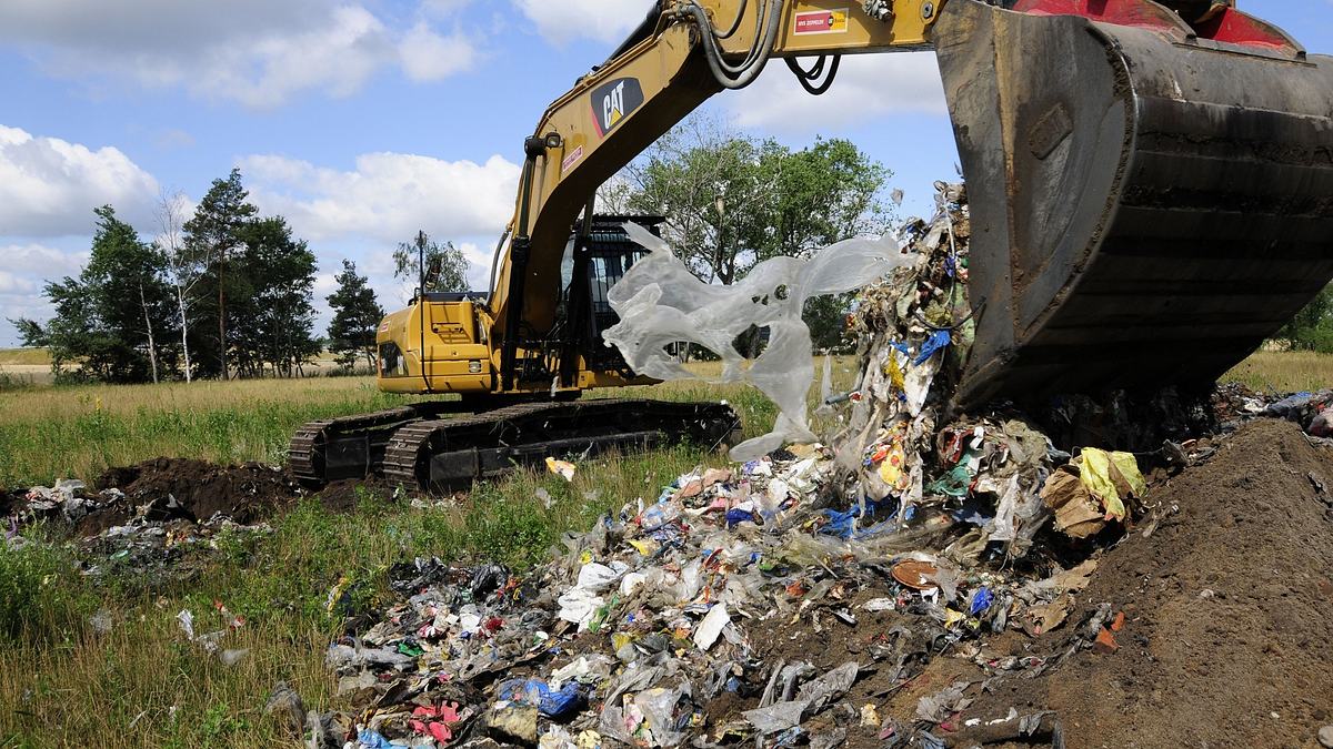 umwelt crime