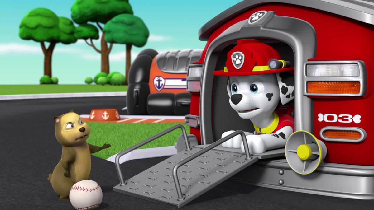 paw patrol - helfer auf vier pfoten