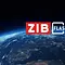 ZIB Flash Thumbnail