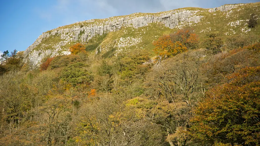 yorkshire: ein jahr in der wildnis