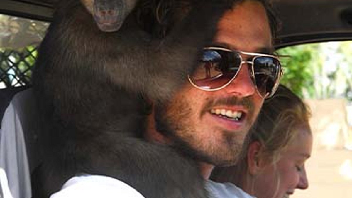 das waisenhaus für wilde tiere - abenteuer afrika