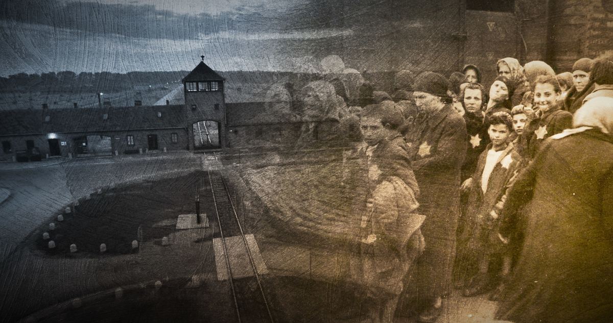 Krieg und Holocaust - Der deutsche Abgrund krieg und holocaust - der deutsche abgrund