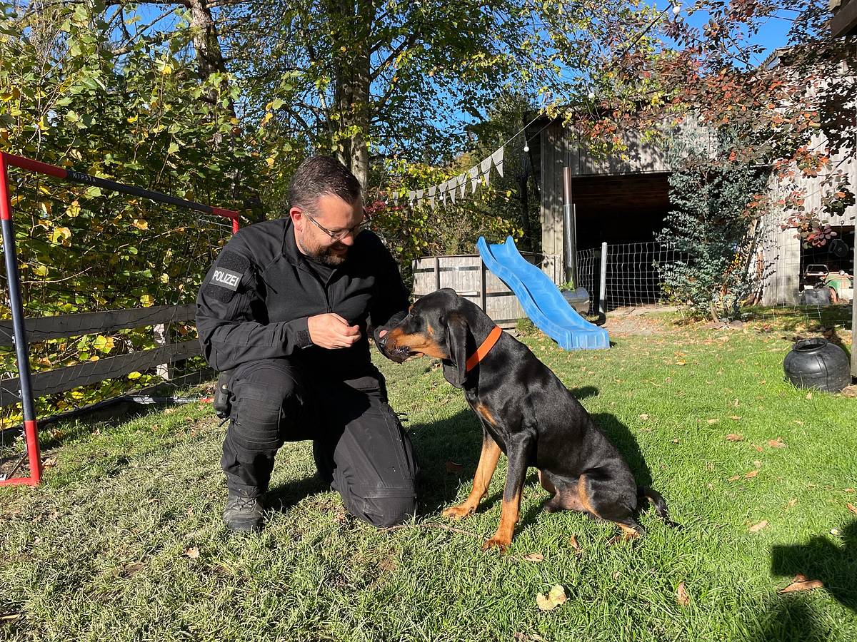 Schweizer Hundegeschichten schweizer hundegeschichten
