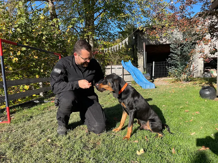 Schweizer Hundegeschichten schweizer hundegeschichten