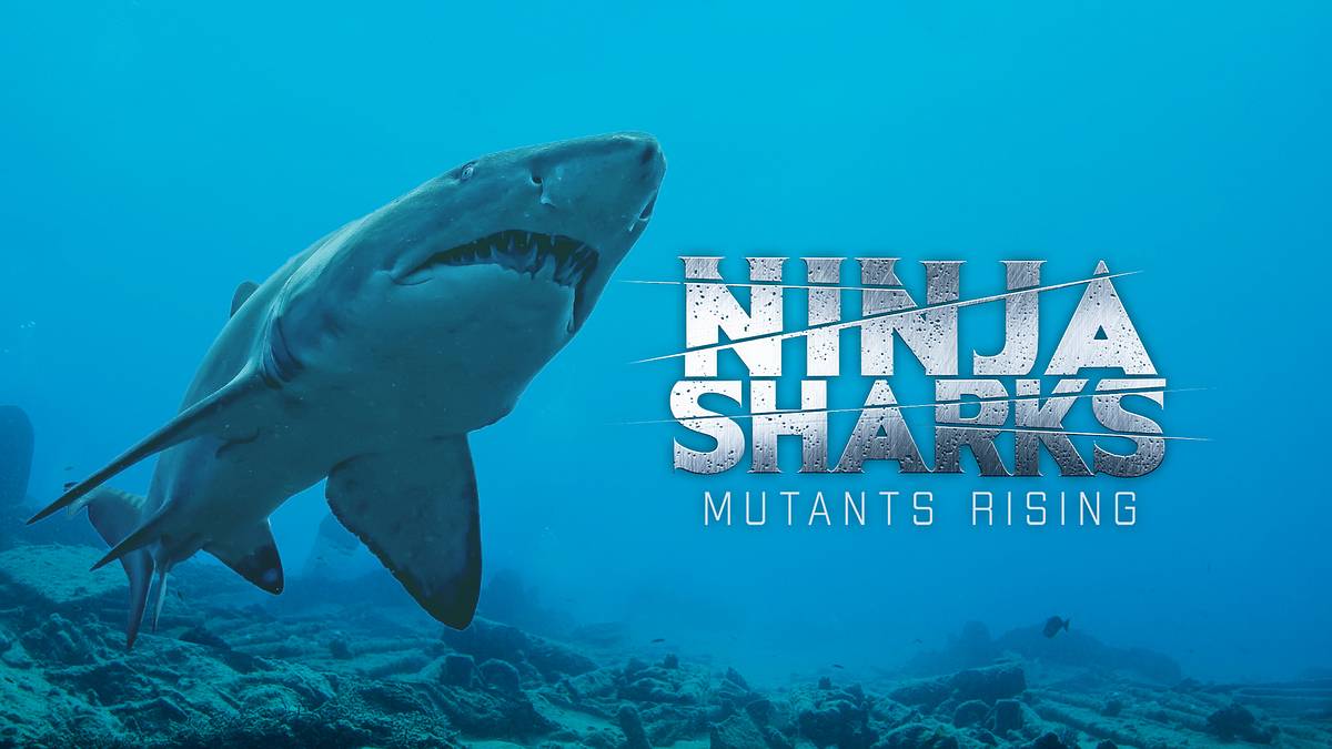 ninja sharks 2 - neue jäger der tiefe