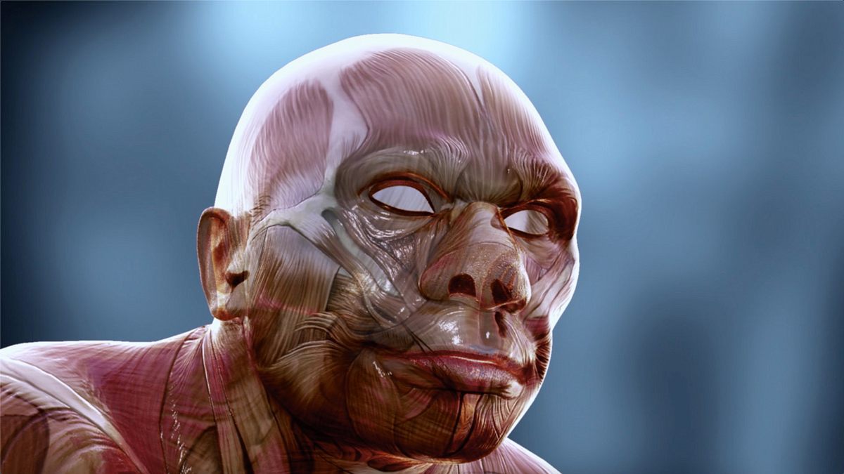 apokalypse der neandertaler