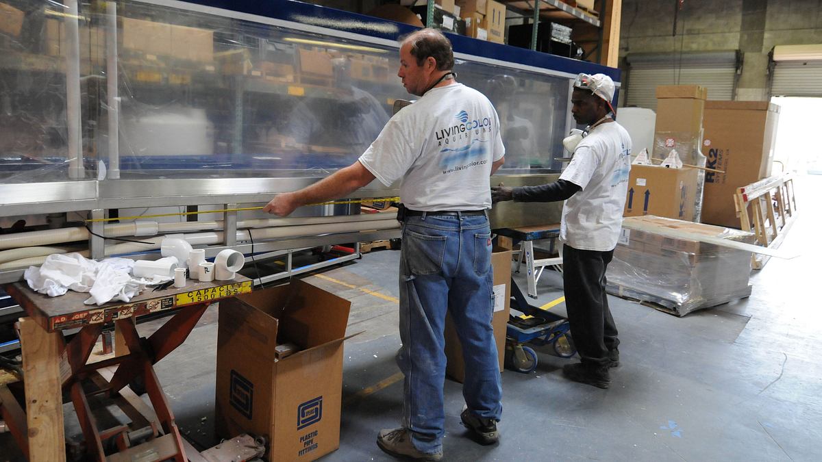 fish tank kings - gigantische wasserwelten