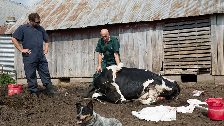 Der unglaubliche Dr. Pol der unglaubliche dr. pol