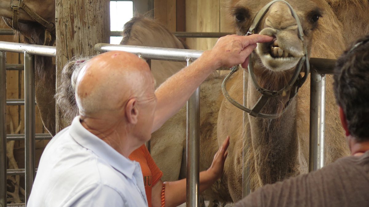 der unglaubliche dr. pol
