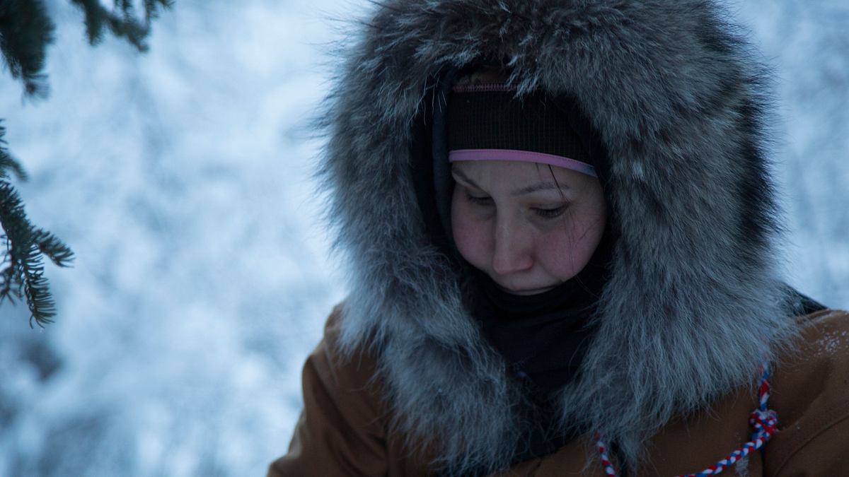 nordalaska - überleben am polarkreis