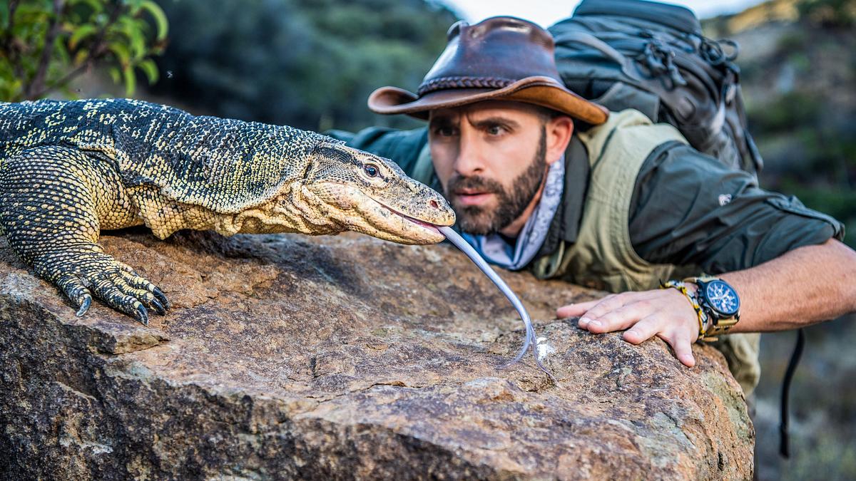 faszinierende tierwelt mit coyote peterson