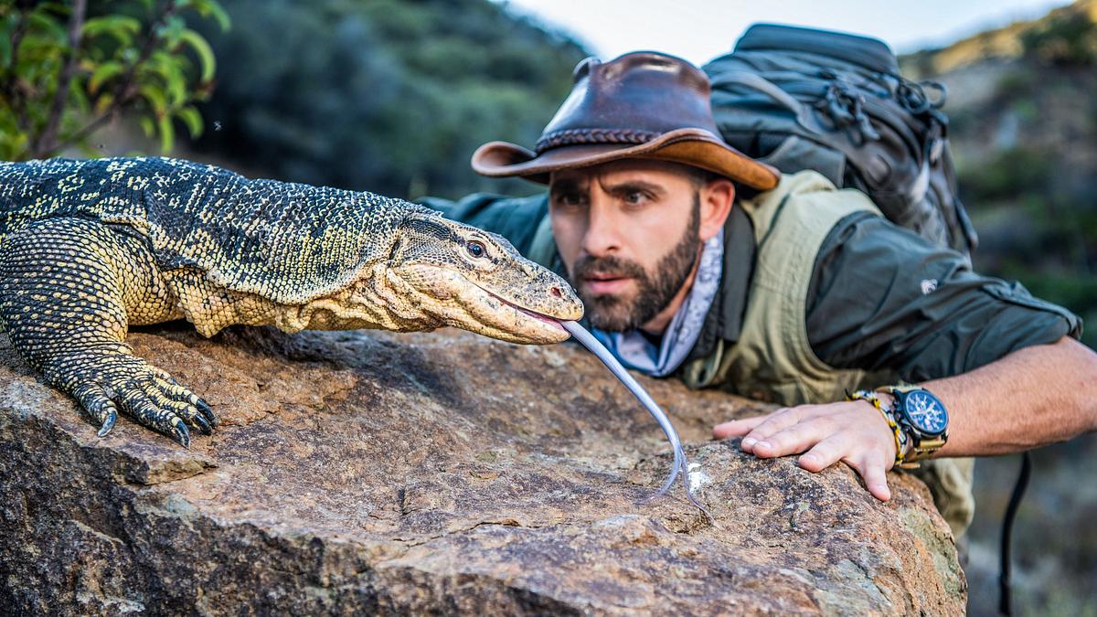 faszinierende tierwelt mit coyote peterson