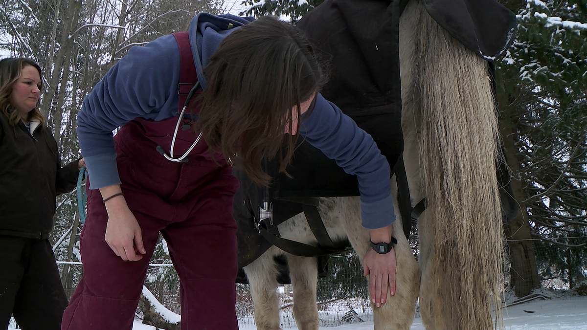 der unglaubliche dr. pol
