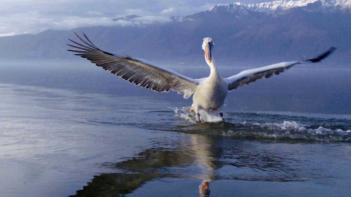 europas verborgene naturwunder