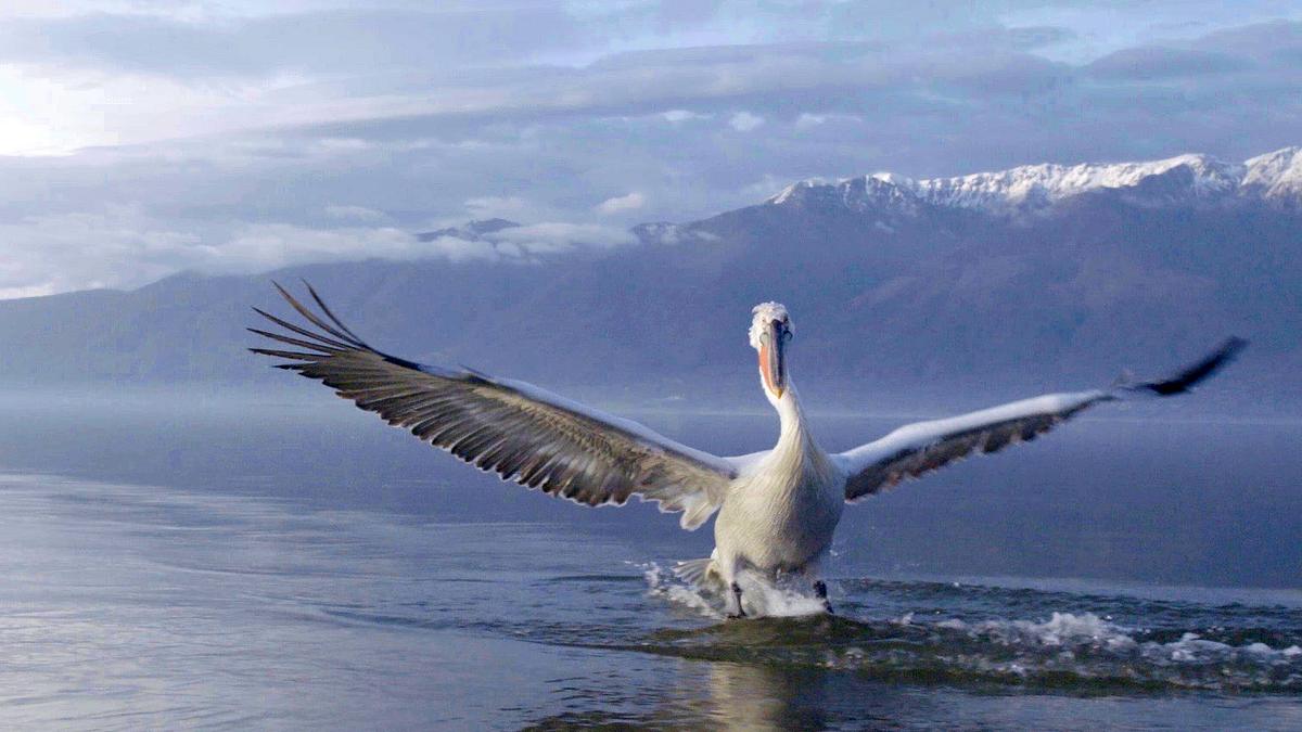 europas verborgene naturwunder
